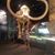 Jenell Mote's profile image