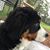 Lorraine Yniguez's profile image