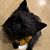 Karen Wheeler Singleterry's profile image