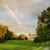 Sue Jacobson-Nilan's profile image