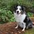 Susi Jackson Biggers's profile image