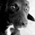Mary Anne Sullivan's profile image