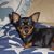 Harrison Young's profile image