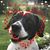 Julie Baggett Purviance's profile image