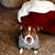 Ann Smith McIntyre's profile image