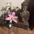 Bunny Chamberlin's profile image
