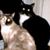 Kat Matz Gaytan's profile image