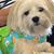 Teri Manson Gverovich's profile image