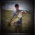 Phil Ervin's profile image