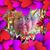 Judy Olsen's profile image