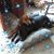Teresa Cash Vance's profile image