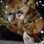 Barb Carnahan's profile image