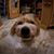 Keith Christopherson's profile image