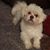 Debbie Golden Bolen's profile image