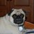 Scott Edward Zazueta's profile image