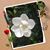 Jillian Larabee Moore's profile image
