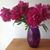 Judy Omre's profile image