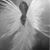 Lori Patterson-Thornton's profile image