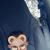 Samantha Firebaugh's profile image