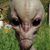 James Wells's profile image
