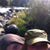 Mac McFall's profile image