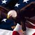 Rob Yellowhorse's profile image
