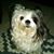 Franny Wilson's profile image