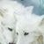 Lori Moffatt's profile image