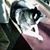 Elizabeth Lisa Romine Paparazzo's profile image