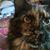 Melody Melton's profile image