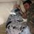 Richard King Foster III's profile image