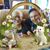 Dee L Ewing's profile image