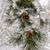 Vicki Grove's profile image