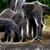 Amanda J. Landis's profile image