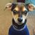 Dana Shrimpton's profile image