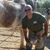 Tim Scherer's profile image