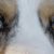Leigh Anne Chalkley's profile image