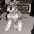 Joanne Green's profile image