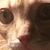 Melanie Anderson-Carter's profile image