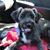 LuAnn Chartrand Couture's profile image