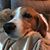 Wenona Jones's profile image