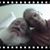 Bob Shannon's profile image