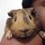 Tyesha Cooper's profile image