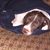 Donna Karlson's profile image