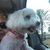 Heidi Azari's profile image