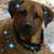 Claire Narducci's profile image