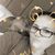 Melissa Sprague Almeida's profile image