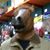 Jason Kim's profile image