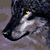 Josh Gettling's profile image