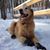Susan Flory's profile image